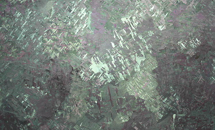 Titanium sample